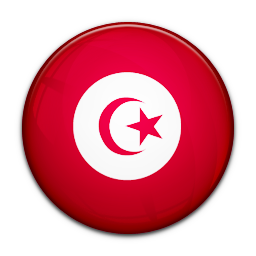 Flag Of Tunisia Icon 256x256 png